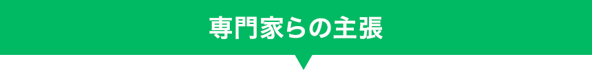 専門家らの主張